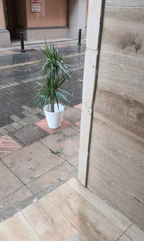 IMG_20200508_231030_969